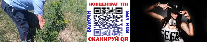 ТГК концентрат  площадка телеграм  Осташков  что такое  